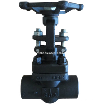 Forged Carbon Steel A105 Gate Valve (Z11H-800LB-1")